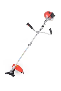 Benzinmotoros