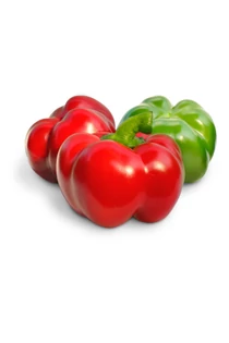 Normál paprika