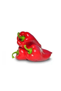 Kápia paprika