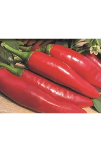 Fűszerpaprika