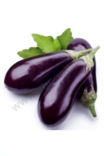 Padlizsán (tojásgyümölcs)