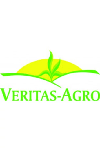 Abeni F1 (CMS) Karfiol vetőmag (korai hajtatásra és szabadföldre, mutatós fehér rózsa) 2500 szem