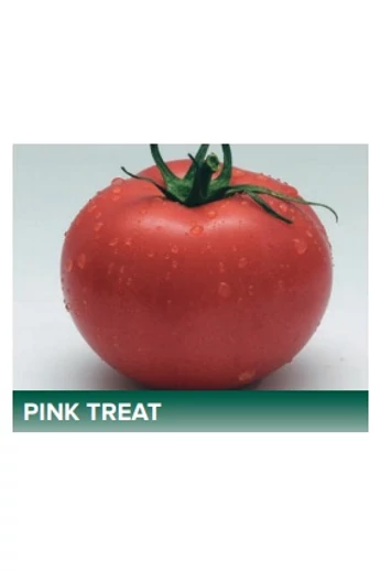 Pink Treat F1 100 szem