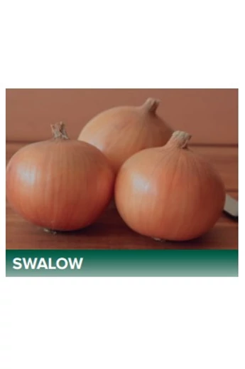 SWALLOW F1100.000 szem