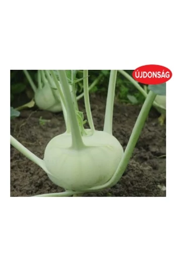 CEMBALO (TKK 565) F1 2500 szem precíziós