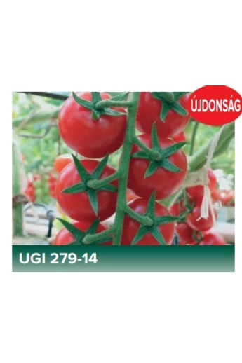 UGI 279-14 F1 100 szem