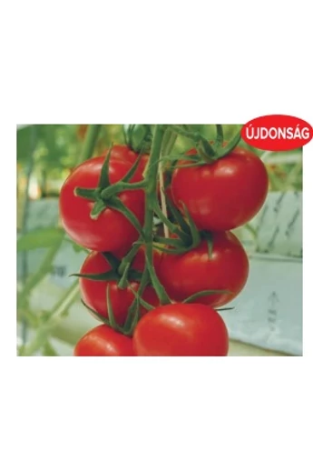 UGI 544-14 F1 100 szem