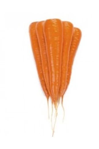 Wolin RZ   Új! Mag méret <2,0 mm  1.000.000 szem