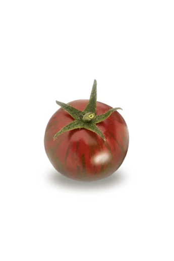 ZEBRINO 100 szem