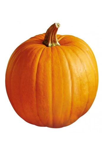 Aspen F1 Halloween tök vetőmag 100 szem