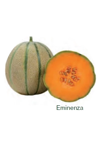 Eminenza F1 sárgadinnye vetőmag 100 szem