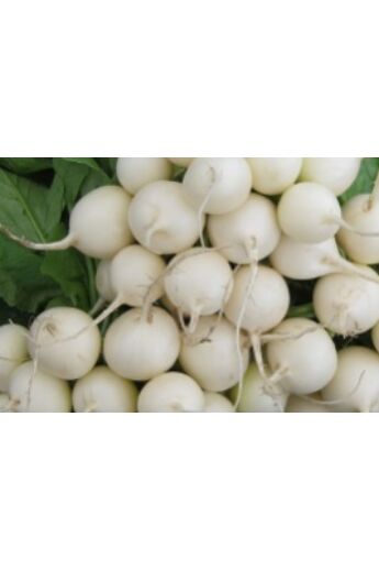 Pearl Fehér retek vetőmag 250 g
