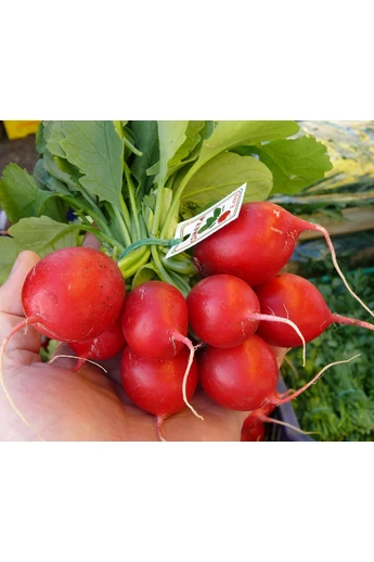 Sora (piros retek) 250 g