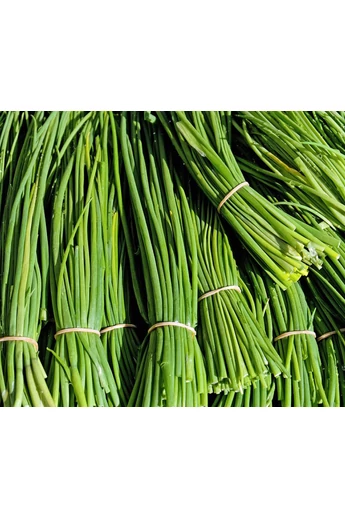 Splendidus 100 g