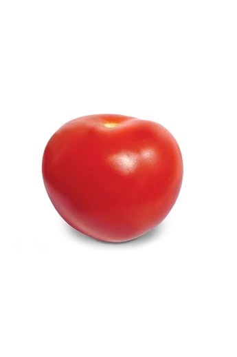 KORALL 1000 szem