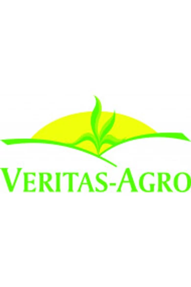 Abeni F1 (CMS) Karfiol vetőmag (korai hajtatásra és szabadföldre, mutatós fehér rózsa) 2500 szem