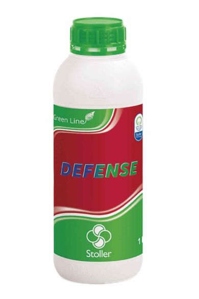 Defense 1L