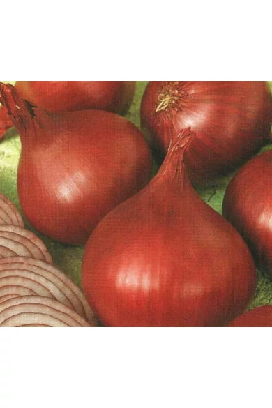 Red   Rum   (lila) 10.000 szem