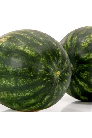 Galander F1 Precíziós mag 1000 szem