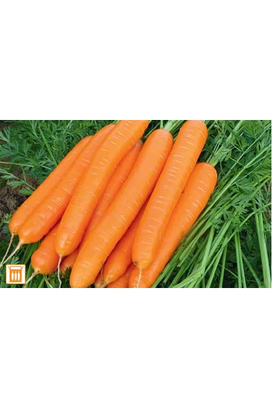 Cadance F1 1,4-1,6 mm kalibráció Precíziós mag 100.000 szem