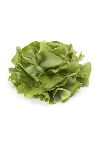 Ulmo RZ   Újdonság! 5000 szem