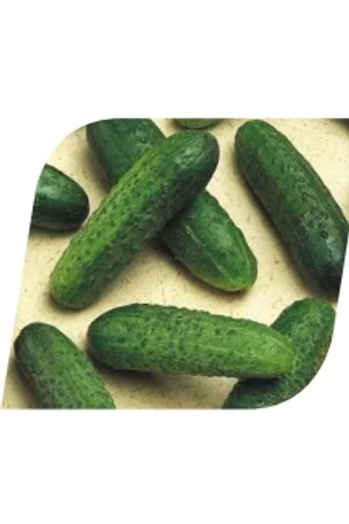 MIRABELLE 100 szem