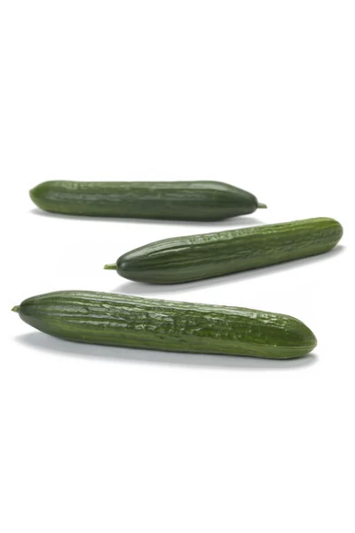 Kodiak F1  kígyóuborka vetőmag 100 szem