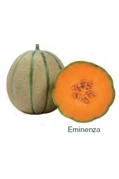 Eminenza F1 sárgadinnye vetőmag 100 szem
